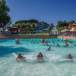 Cicas Campofelice Di Roccella